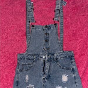 Denim Distressed Overalls